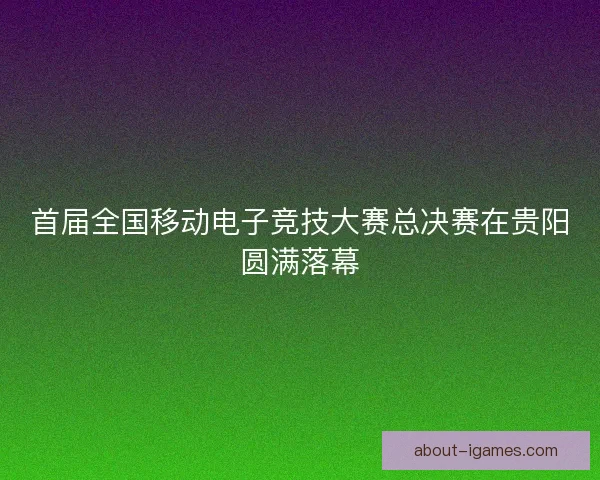 首届全国移动电子竞技大赛总决赛在贵阳圆满落幕